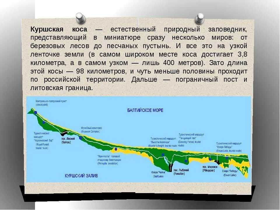 Национальный парк Куршская коса краткое описание. Буклет национальный парк Куршская коса. Путеводитель Куршская коса. Национальный парк Куршская коса расположение.