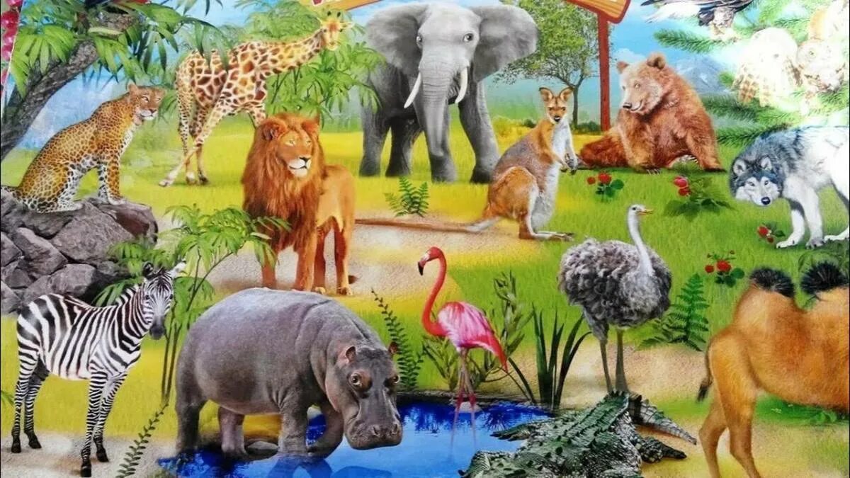 Животные африки старшая группа. Животные Жаррких старн. Животные Африки для детей. Животные жарких стран. Дикие животные жарких стран.