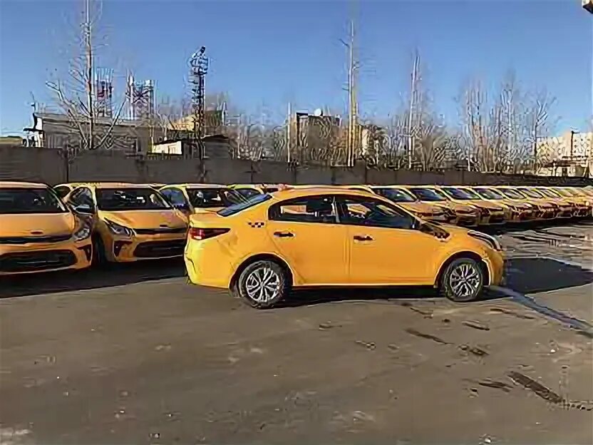 Авито авто под такси. Аренда машины под такси авито. Фольксваген поло 2021 такси. Кия рио такси. Машина такси шкода.