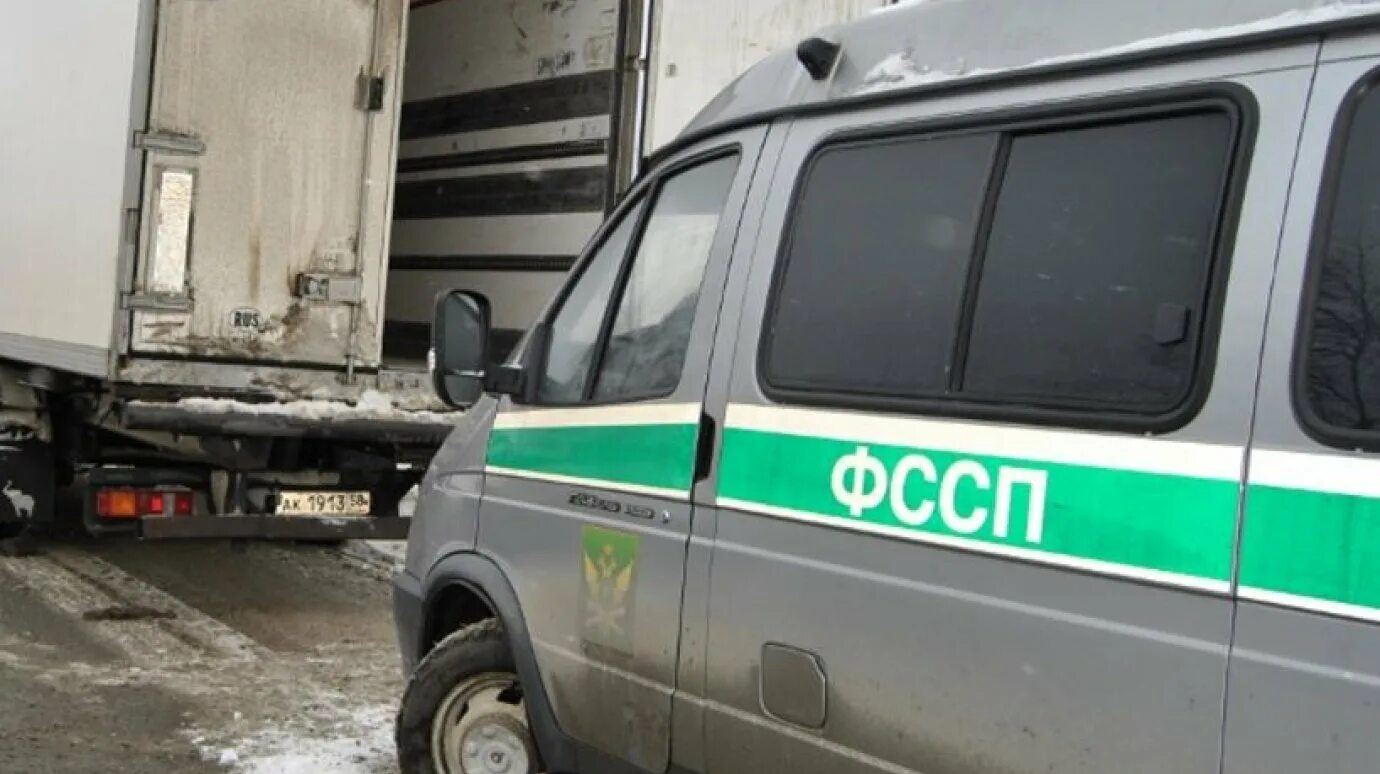 Судебные приставы никольск. Судебные приставы. Судебные приставы березники. Приставы белинский. Судебные приставы тарко-сале.