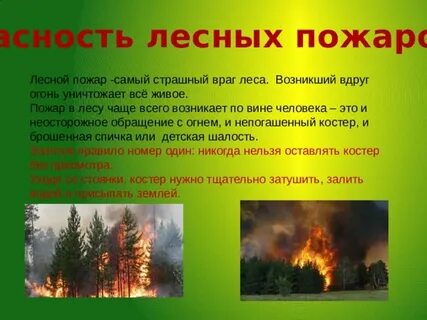 Какие производства находятся в лесном их опасности