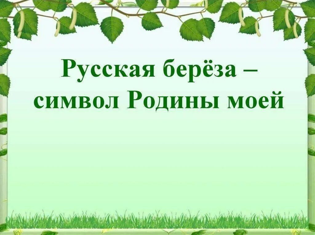 Береза символ России. Береза символ Родины моей. Береза символ. Берёза-символ России презентация.