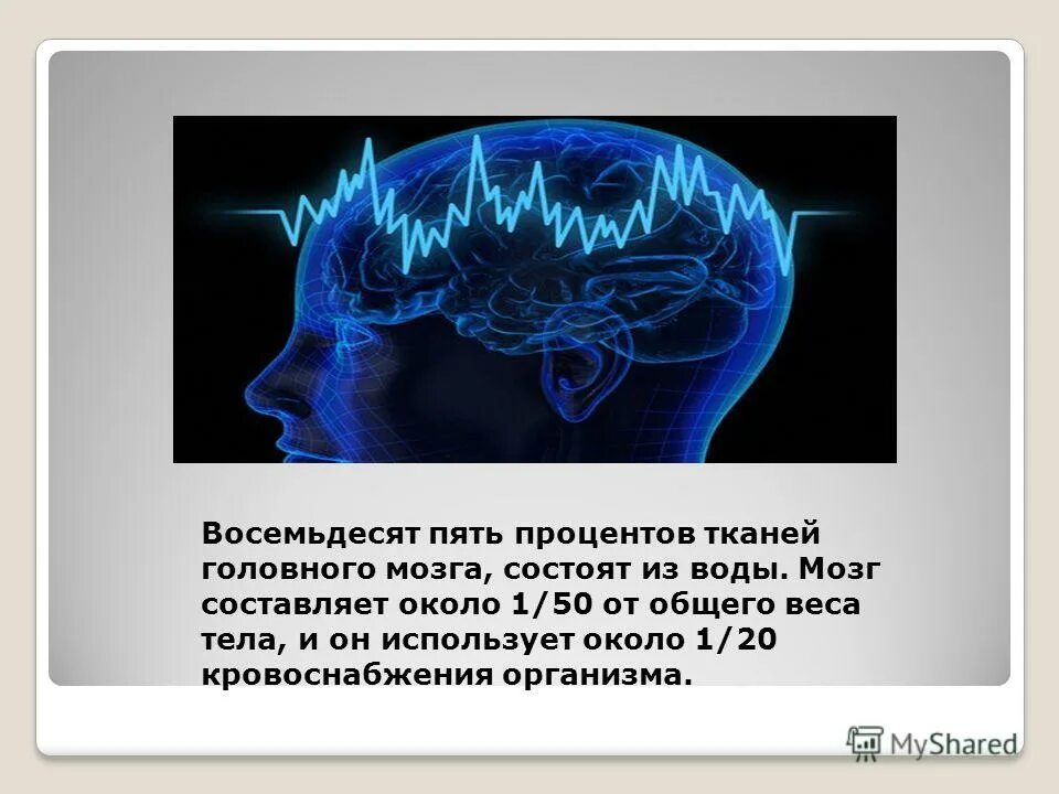 Мозг человека используется на процентов. Мозг человека состоит из воды. Мозг и вода. Мозг из воды. Сколько воды в головном мозге.