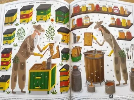 Тетра книга