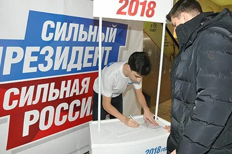 Подписи на выборы