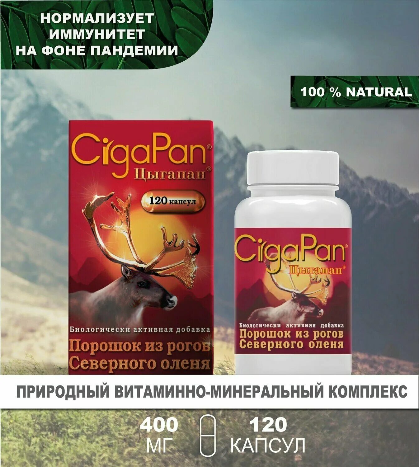 Цыгапан капс 400мг n90. Blood builder iron & multivitamin supplement таб. Бад с адеметионином. Probio complex для детей. Цыгапан капсулы 400 мг 60 шт.