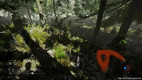 Forest edition