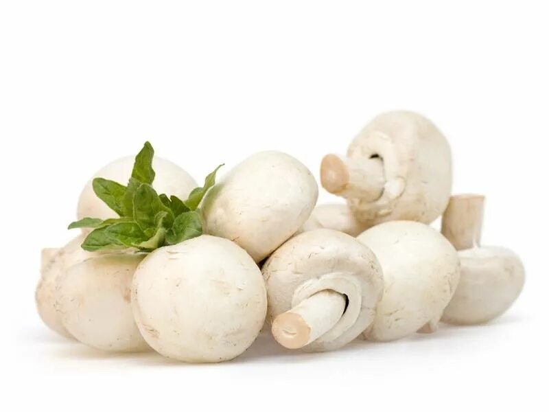 грибы шампиньоны свежие рецепты. что приготовить с шампиньонами. жареные шампиньоны. блюда с шампиньонами. шампиньоны соко.