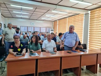 Viola energy tashkent