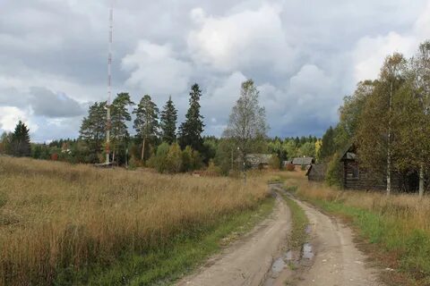 Борское ленинградская область