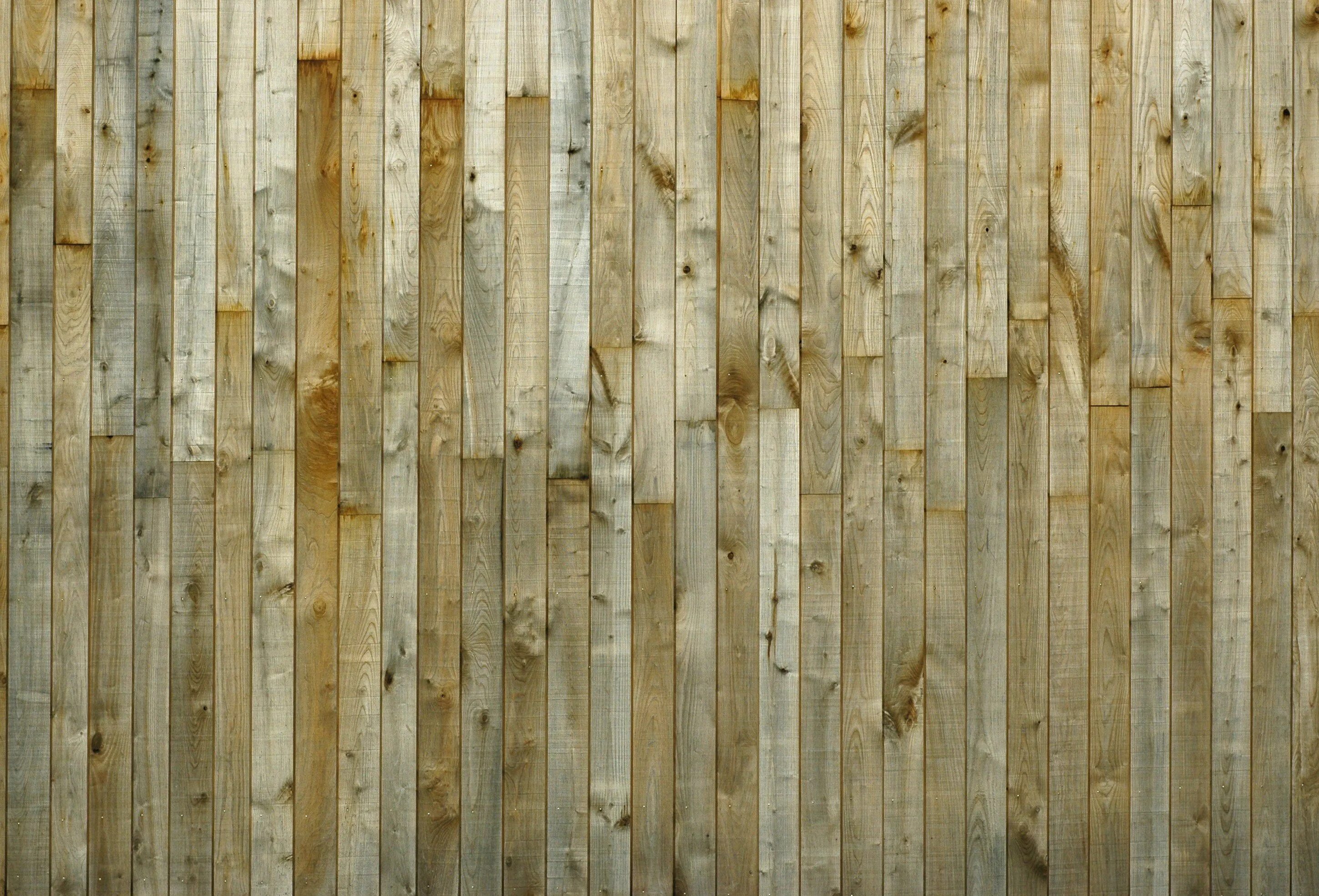 доска в чаще