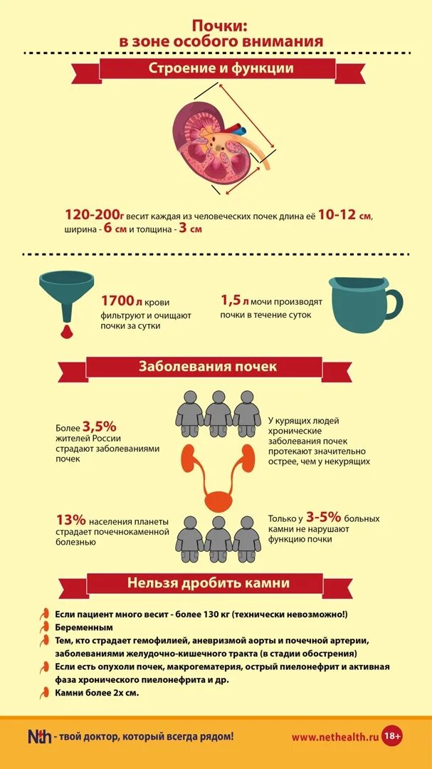 Мочекаменная болезнь профилактика заболевания. Памятка предупреждение заболеваний почек. Профилактика заболеваний почек буклет. Профилактика мочекаменной болезни буклет. Профилактика почечной недостаточности памятка.