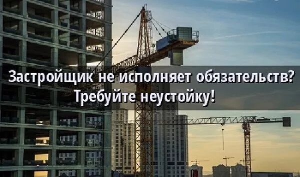 Мораторий на взыскание неустойки с застройщика 2024. Взыскание неустойки с застройщика. Взыскание неустойки с застройщика по ДДУ. Споры с застройщиками. Юрист застройщик.