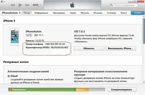 Серийный номер в айтюнс. Как найти телефон в айтюнс. UDID iphone как узнать. Как найти айфон в айтюнс.