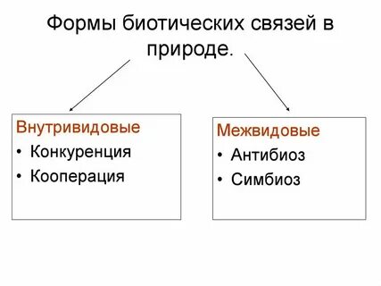 Биотические связи уровень организации
