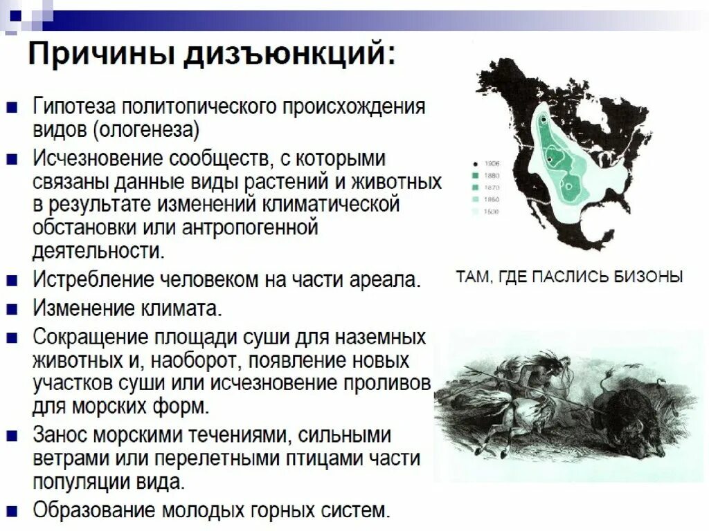 Причины дизъюнкции ареалов. Виды дизъюнктивных ареалов. Примеры ареалов дизъюнкции. Дизъюнктивный ареал примеры.