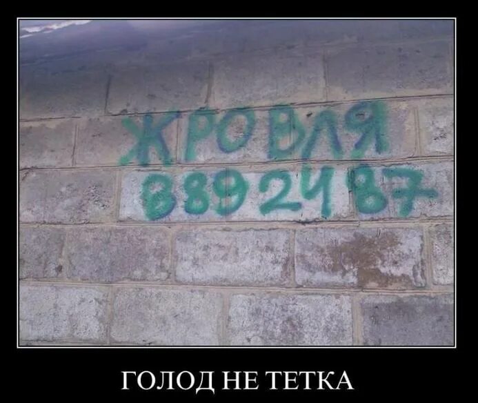 Пословица голод не тетка продолжение. Голод не тетка. голод не тетка картинки. голод не тетка пирожка. голод не тетка полностью.