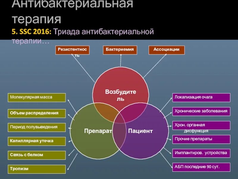 Триада миров. Триада миров