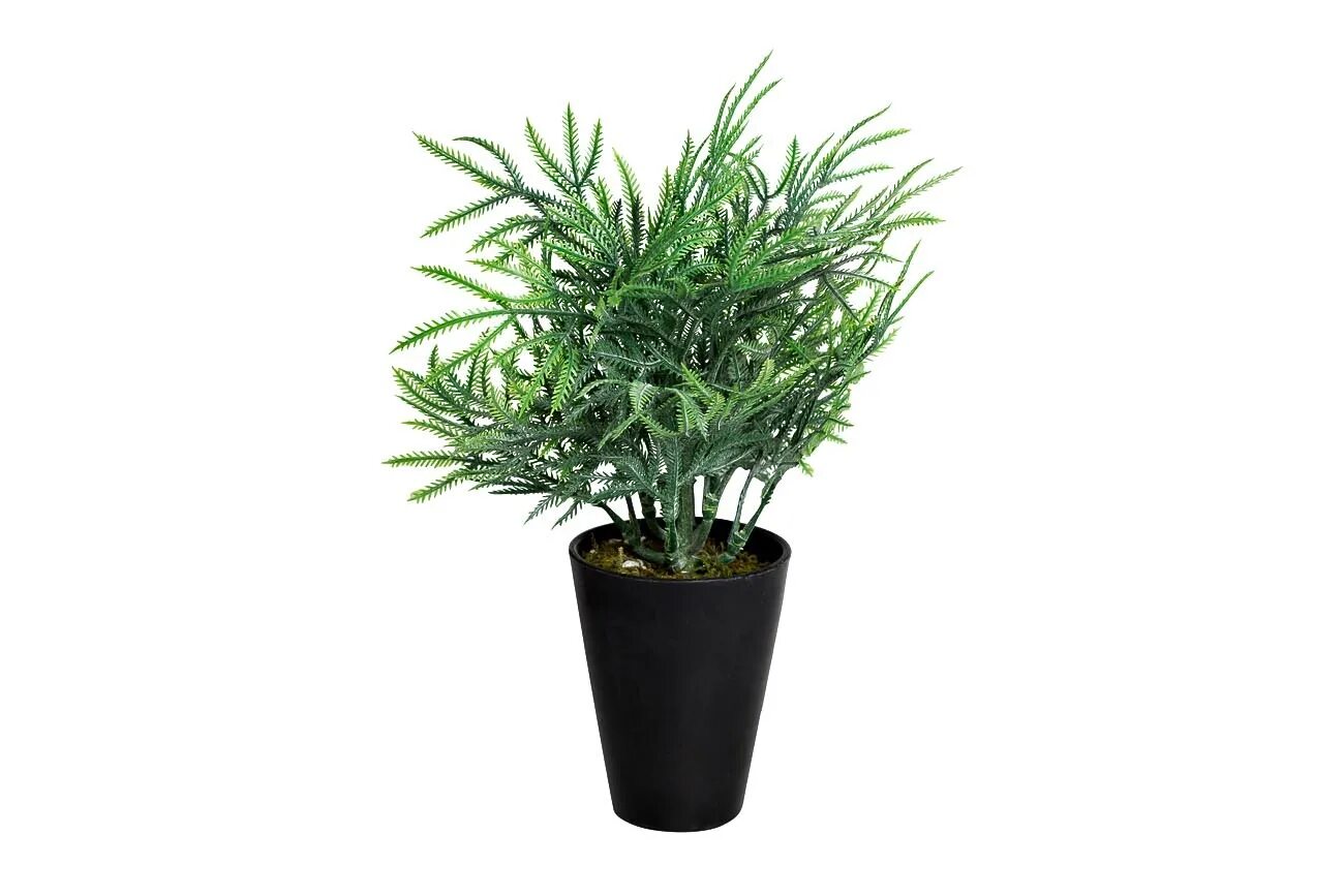 горшок лицо. 8j-18ck0020 кипарисовик в горшочке 25 см. 8 в горшочке. 8 в горшочке. цветы в горшках.