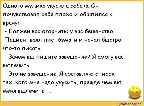 Меня укусил пес которого я бросила манхва. Анекдоты про собак. Анекдоты про врачей. Анекдот про кобелей мужиков. Анекдот про мужика и собаку.