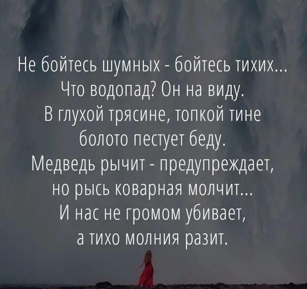 Стих не бойтесь шумных бойтесь тихих. Тихий человек. Тихушники цитаты. Цитаты со смыслом. Бойтесь тихих слов.