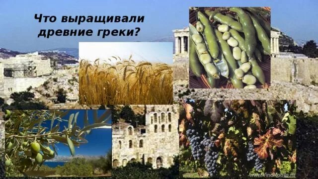 Виноградные плантации в греции. Остров крит горы. Гребневое террасирование. Плантации винограда в греции. На склонах гор греки выращивали.