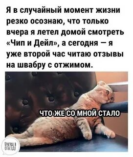 И жизнь резко