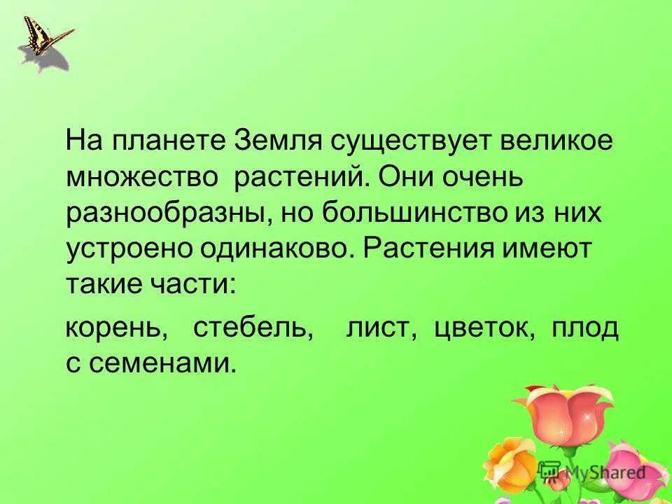 Презентация растения для 1 класса. Части растений окружающий мир. Основные части растения. Части растений окружающий мир. Растения части растений.