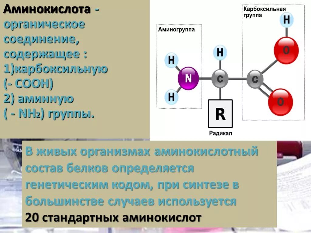 Соединение содержащее карбоксильную группу. Белок органическое вещество. Карбоксильная группа аминокислот. Органические соединения белки. Карбоксильная группа белков.