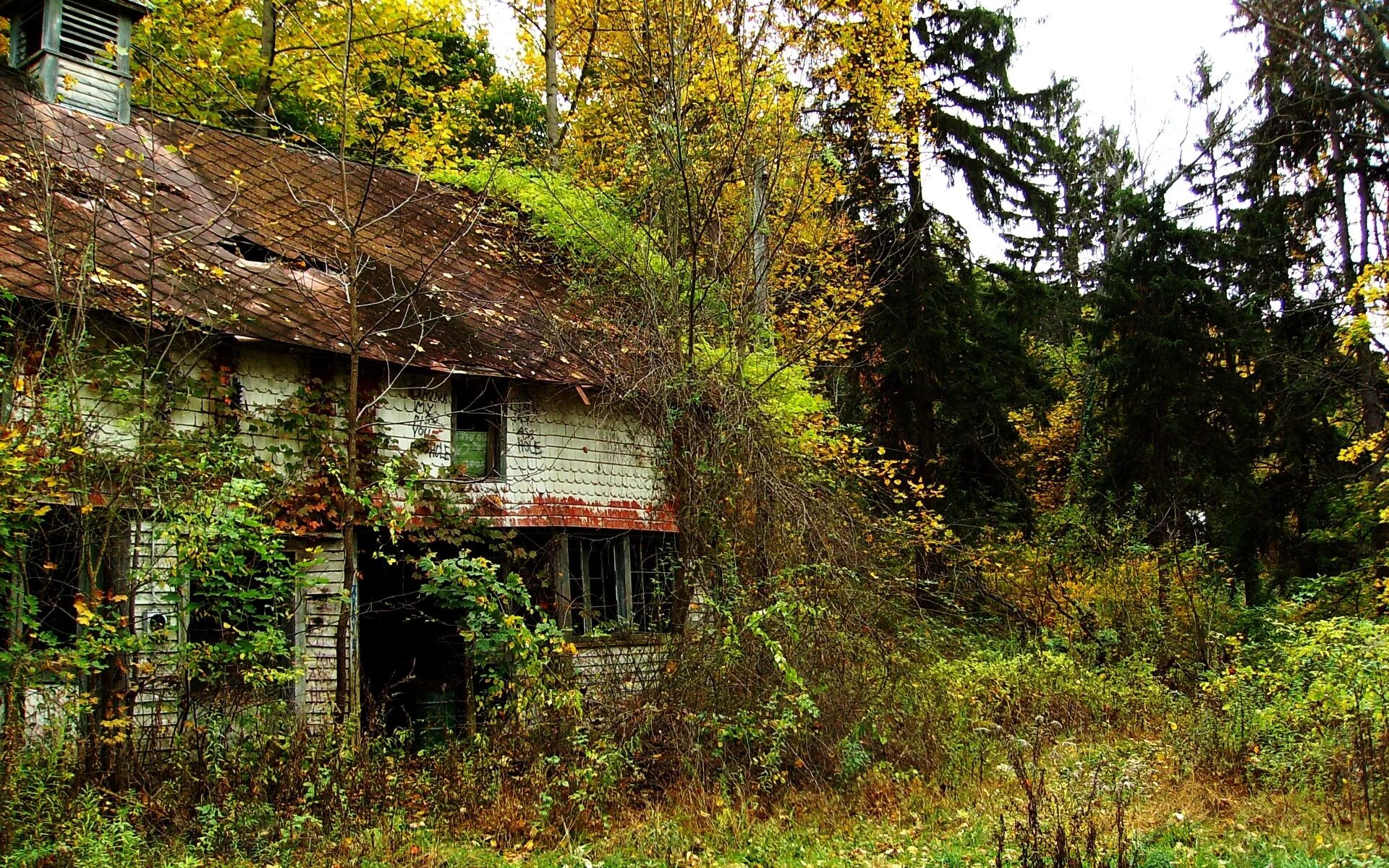 Abandoned village. Поселок Форест заброшенный. Заброшенная деревня в лесу. Заброшенный домик. Заброшенный дом в саду.