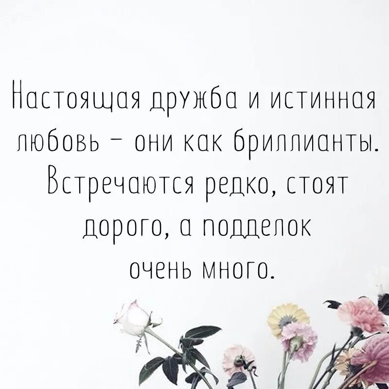 Истинная жизнь любовь. Цитаты про настоящую дружбу. Цитаты про любовь и дружбу. Настоящая любовь цитаты. Афоризмы о любви и дружбе.