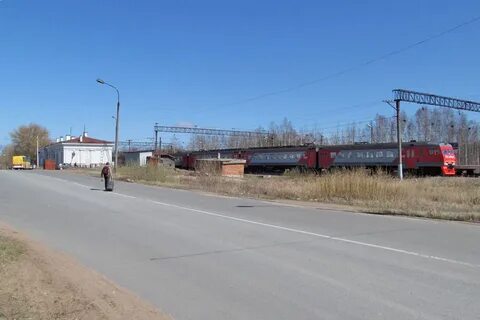 Калище сосновый бор
