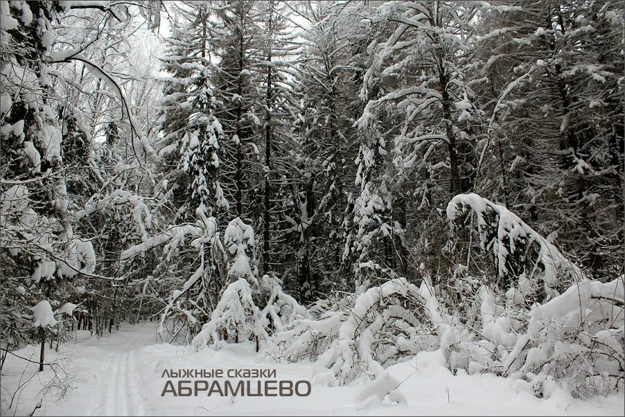 ковала ледяные да над реками. таяние ледников 2022. ковала ледяные да над реками. ковала ледяные да над реками. ледник аргентина перито морено арка.
