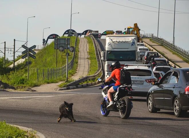 Платный мост в Рязани. Платный путепровод Рязань.