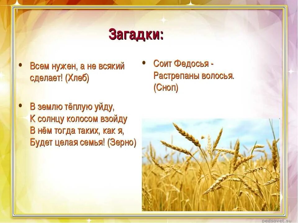 Объяснение слов жито. Загадки про хлеб для детей. Загадки о хлебе для дошкольников. Загадка про пшеницу. Загадки про хлебобулочные изделия.