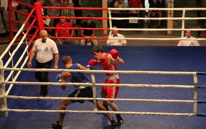 боксеры волгоград.