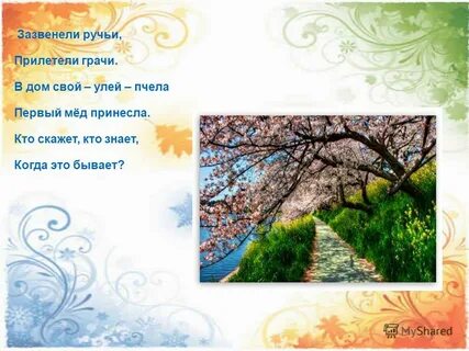 Зазвенели ручьи прилетели грачи
