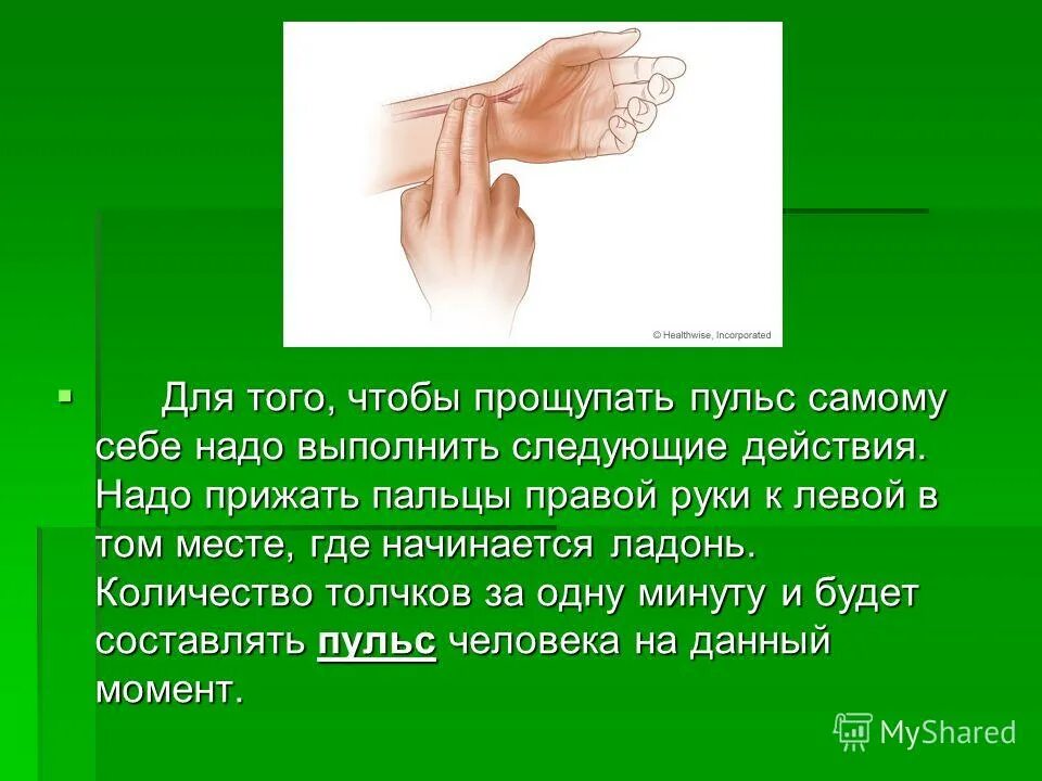 Давление по пульсу на руке. Где начинается ладонь. Пульс на левой руке. Пульс на пальце. Пульс в руке правой в ладони.