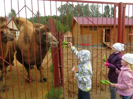 Парк культуры зоопарк