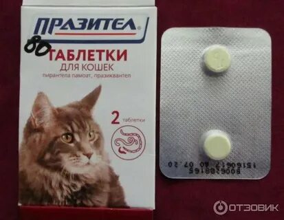 Кошачья таблетка