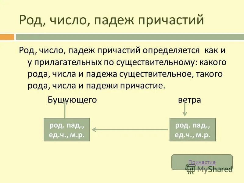 Как определить род у причастия. Число причастий как определить. Как определить род число падеж у причастия. Род число падеж причастий. Как определить падеж у причастия