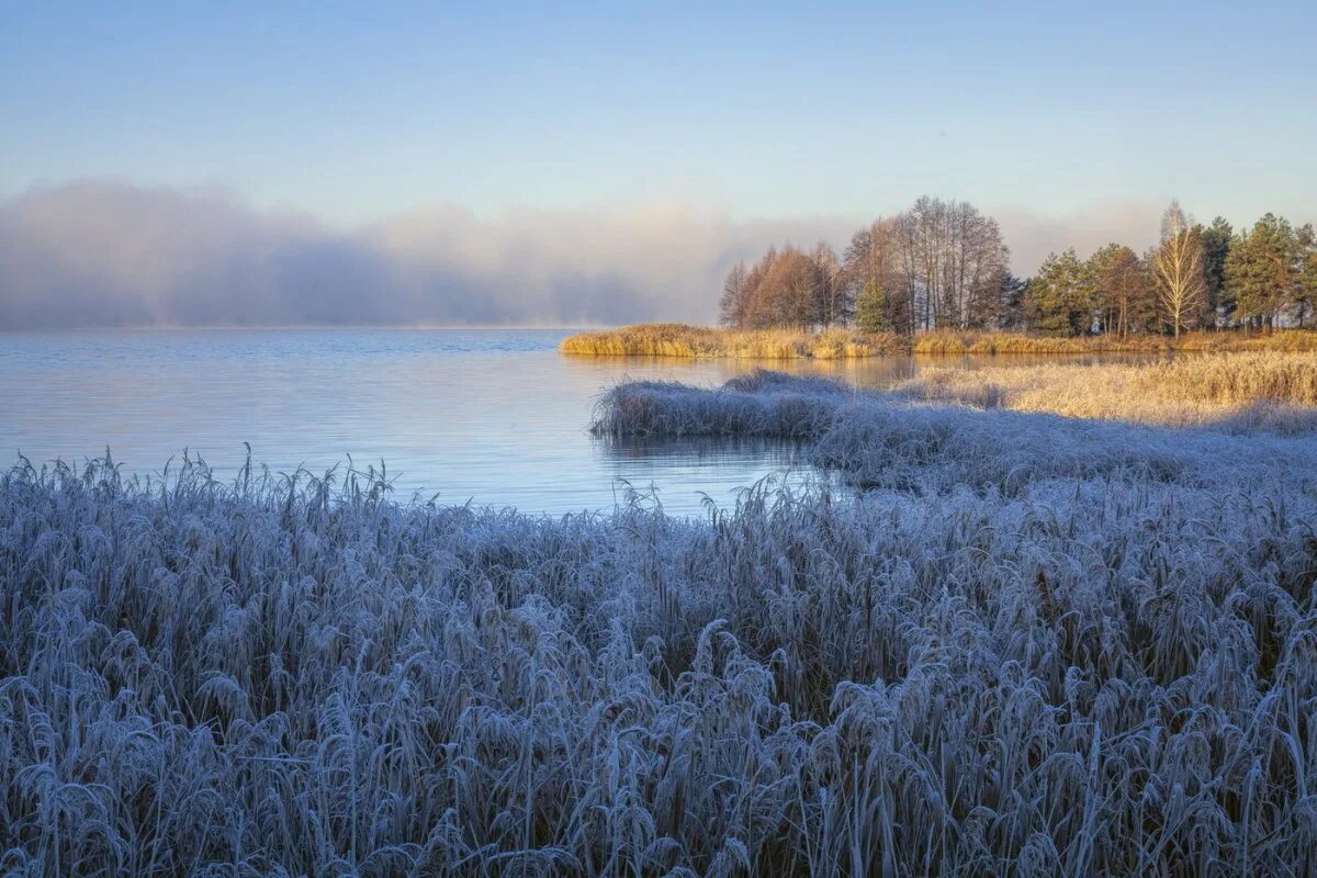 Ранние заморозки. Весенние заморозки. Заморозки природа. Первые заморозки. Заморозки пейзаж.