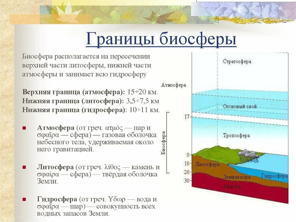 Чем определяются границы распространения живых организмов. Нижняя граница биосферы в литосфере. Каковы границы биосферы. Границы биосферы по Вернадскому. Границы биосферы схема 11 класс.