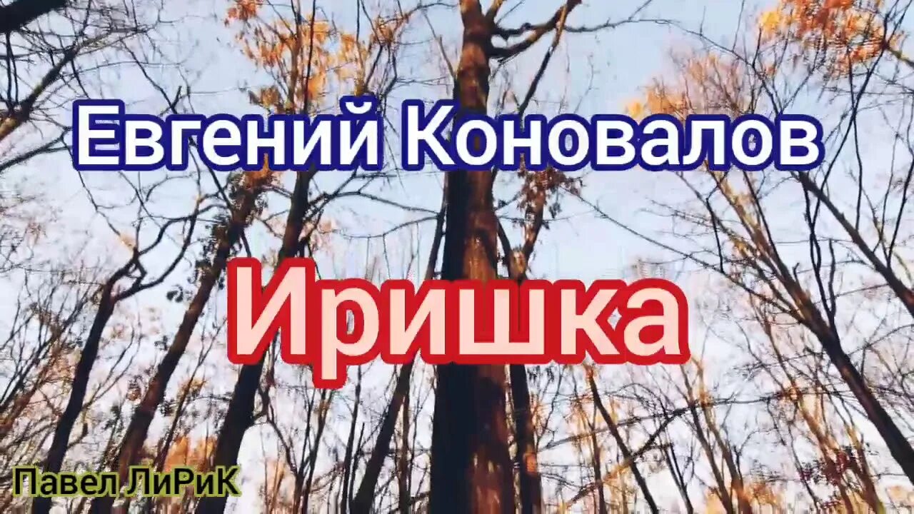 Песня куста иринка. Песня моя иришка.