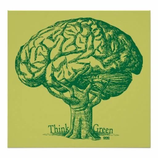 Дерево мозг. Мозг плакат. Дерево мозг арт. Дерево с мозгами. Green brain