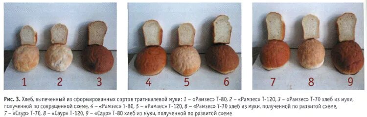 Выход хлеба. Физико химические показатели пшеничного хлеба. Хлеб пшеничный формовой коломенский нарезка 380г. Выход хлебобулочных изделий. Почему хлеб прилипает к пергаменту.