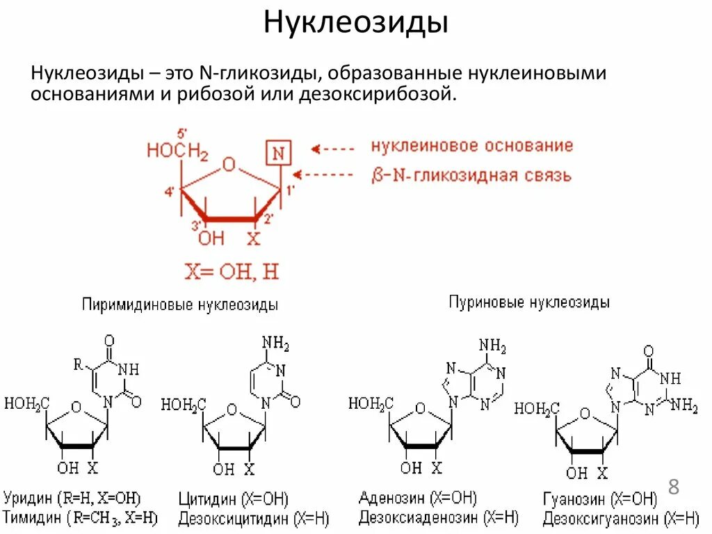 Нуклеозид 2-дезоксигуанозин. Строение нуклеозидов и нуклеотидов. Структура нуклеозидов и нуклеотидов. Структура ДНК нуклеозид.