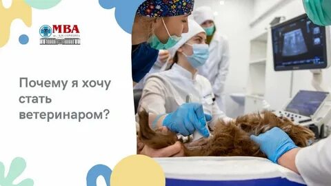 Стали ветеринарами