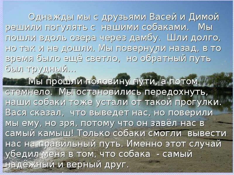 Сочинение мои лучшие друзья. Сочинение-рассуждение на тему. Сочинение про друга. Сочинение на тему мой лучший друг. Сочинение описание любимого животного.