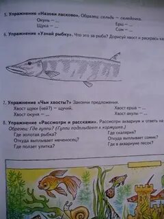 Играет вечером рыба на воде составить предложение